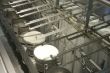 Cheese factory
