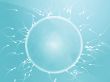 Egg fertilization illustration