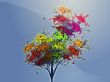 Autumn leafy tree