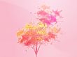 Autumn leafy tree