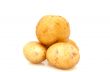 Potatoes isolated on a whiteground.