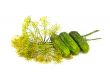 Cucumbers and dill isolated on a whiteground.