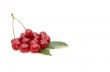 Cherries isolated on a whiteground.