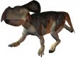 Protoceratops