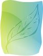 Leaf illustration