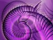 Swirly spiral grunge
