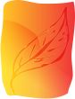 Leaf illustration