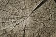 Wooden texture.