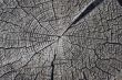 Wooden texture.