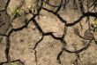 Drought.