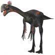 Gigantoraptor erlianensis