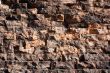 Brick wall