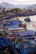 Many boats
