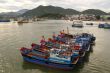 Boats and bay