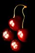 cherry