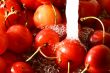sweet cherry under wet