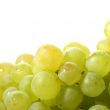 isolated grape