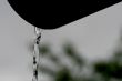 outdoor rain