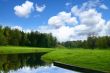 Spring nature landscape