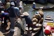 River market