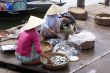 Women and fish