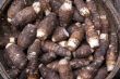 Sweet potatos