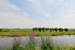 Agriculture landscape