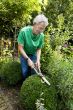 Gardening