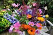 bunch of flowers