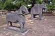 Horse and elephant