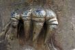 Claw