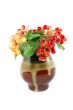 Red wild berries