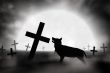 alone wolf