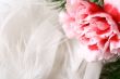 beautiful pink flower