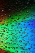 multicolored waterdrops