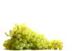 isolated grape