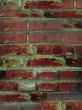 Red brick wall texture