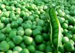 green pea