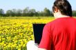 laptop nature work