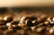 Grains of coffee