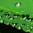 natural waterdrop