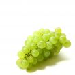 isolated grape