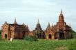 Green grass and pagodas
