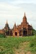 Green grass and brick pagoda
