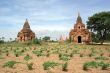Field and pagodas
