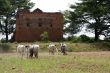 Ploughs and ruin