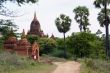 Road, palm trees and brick temple in Bagan