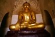 Golden Buddha