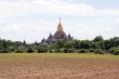 Field and temple