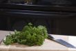 Food on a cutting board with chef`s knife